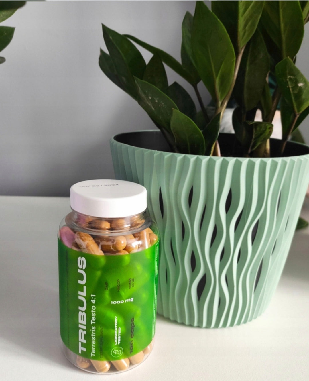 nowmax® Tribulus Terrestris TESTO mace 4:1 100 kaps