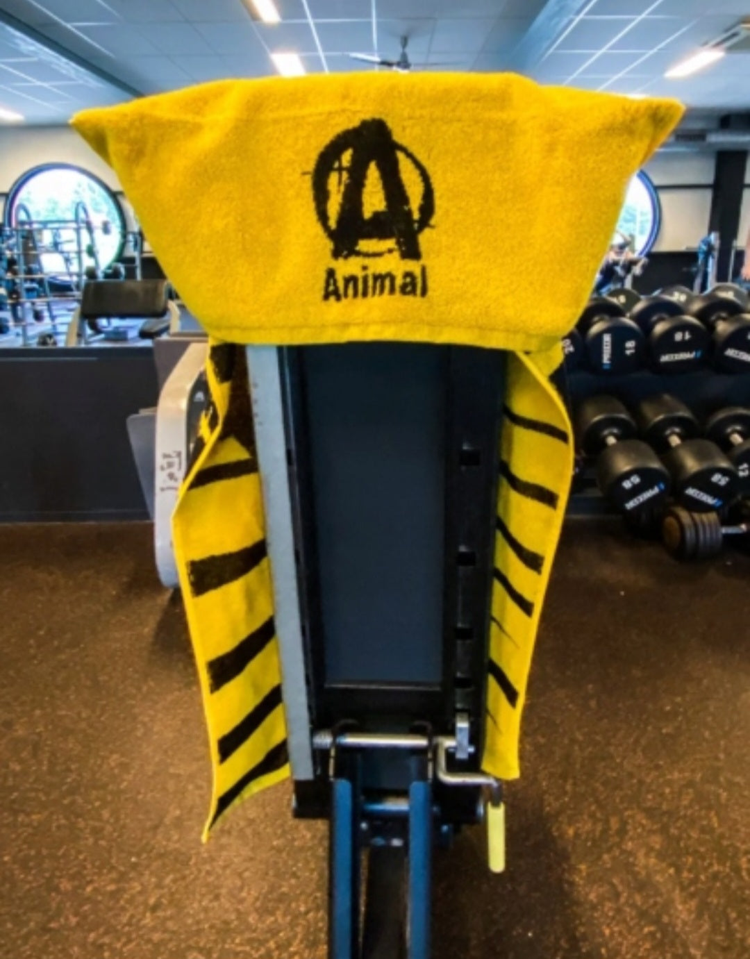 Geltonas Universal Animal rankšluostis 50x100cm