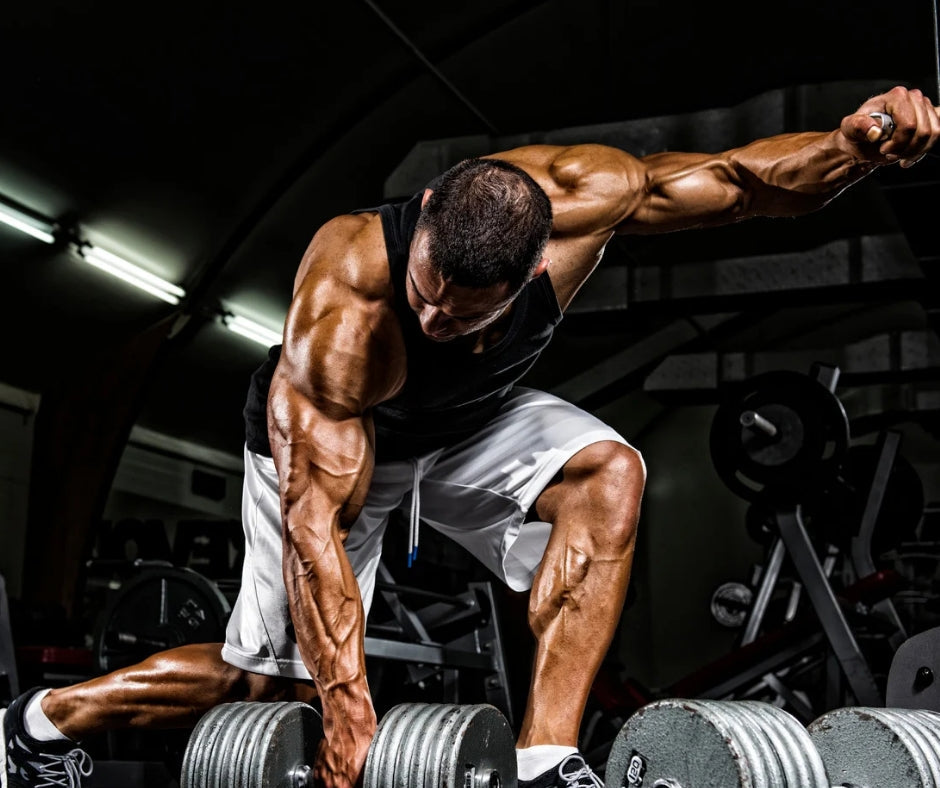 Beta alaninas: geriausia natūrali alternatyva pre-workout papildams