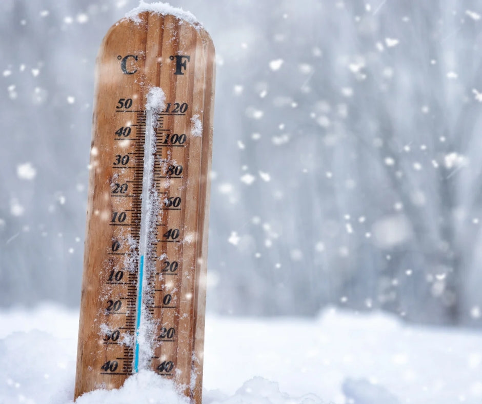 Šalčio poveikis sporto papildams: ką būtina