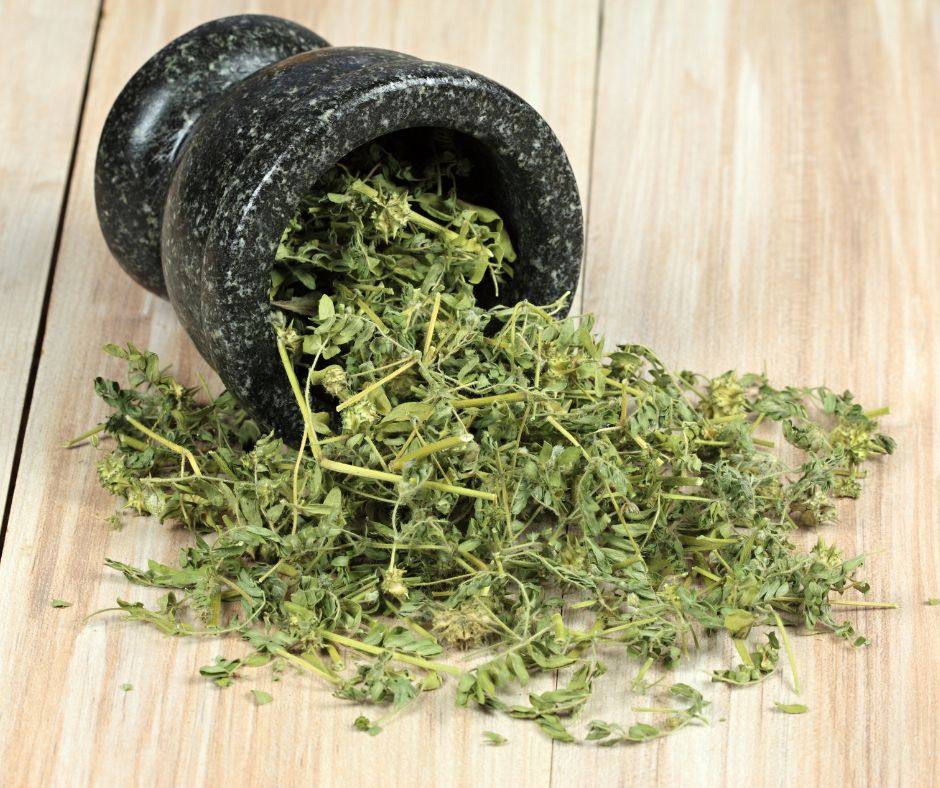 Sporto papildas Tribulus terrestris, padedantis didinti testosterono lygį ir fizinę ištvermę.