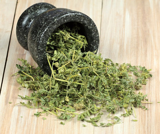 Sporto papildas Tribulus terrestris, padedantis didinti testosterono lygį ir fizinę ištvermę.