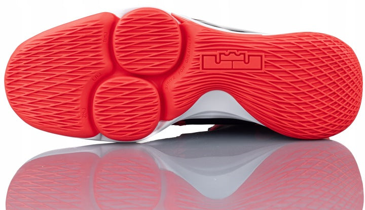 NIKE LEBRON WITNESS V CQ9380 005 krepšinio / laisvalaikio bateliai 